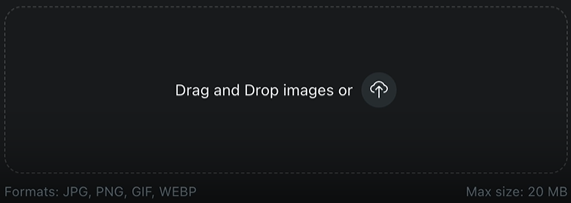 Image input